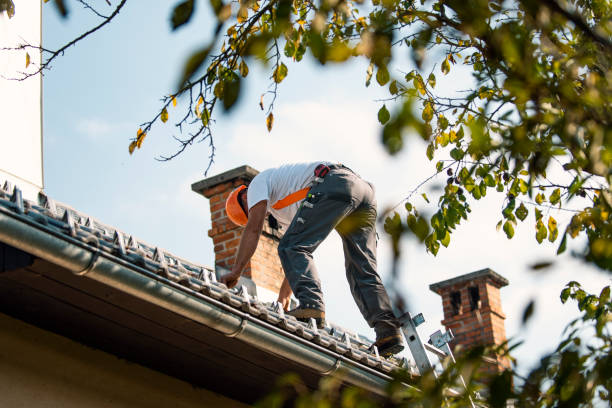 Roof Gutter Cleaning in Stillman Valley, IL