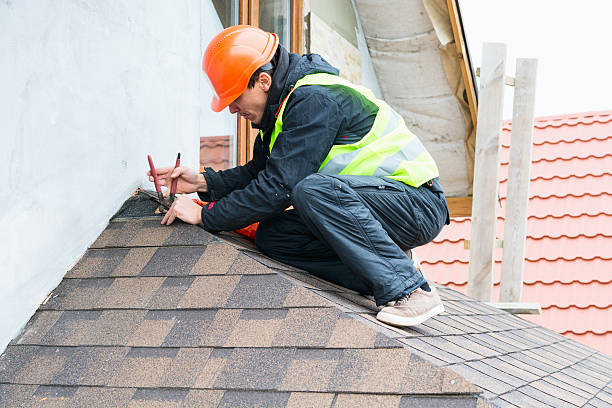Best Roof Gutter Cleaning  in Stlman Valley, IL